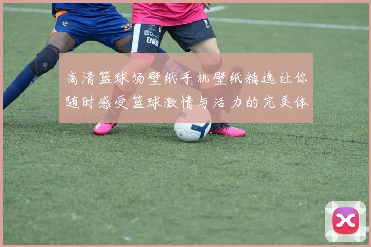 高清篮球场壁纸手机壁纸精选让你随时感受篮球激情与活力的完美体验
