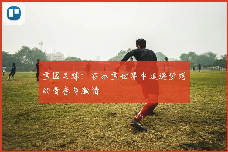 雪园足球：在冰雪世界中追逐梦想的青春与激情